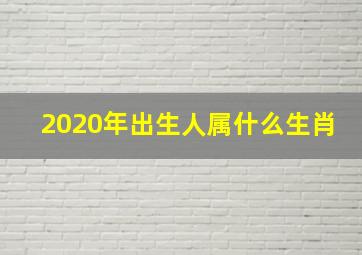 2020年出生人属什么生肖