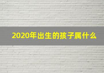 2020年出生的孩子属什么