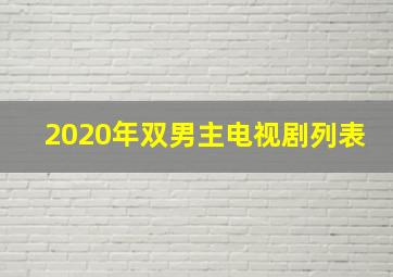 2020年双男主电视剧列表