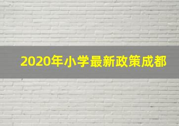 2020年小学最新政策成都