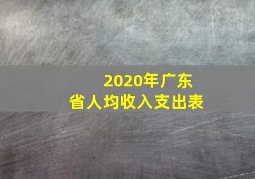 2020年广东省人均收入支出表