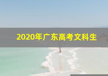 2020年广东高考文科生