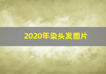 2020年染头发图片