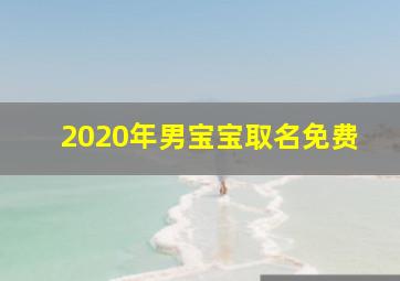 2020年男宝宝取名免费