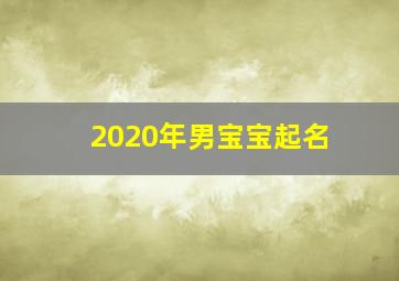 2020年男宝宝起名