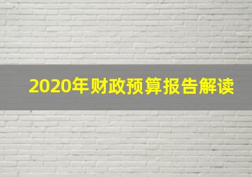 2020年财政预算报告解读