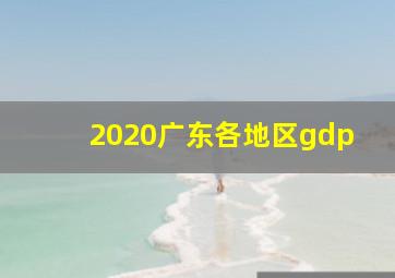 2020广东各地区gdp