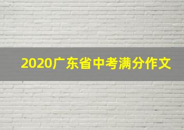 2020广东省中考满分作文