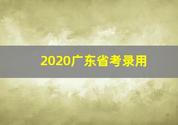 2020广东省考录用