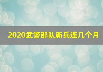 2020武警部队新兵连几个月