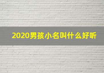 2020男孩小名叫什么好听