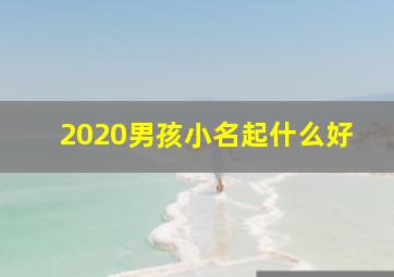 2020男孩小名起什么好