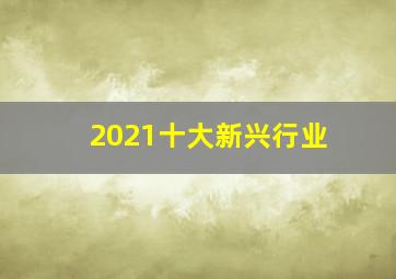 2021十大新兴行业