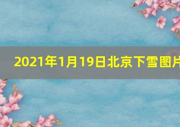 2021年1月19日北京下雪图片