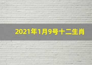 2021年1月9号十二生肖