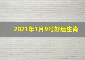 2021年1月9号好运生肖