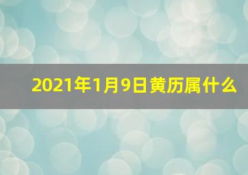 2021年1月9日黄历属什么