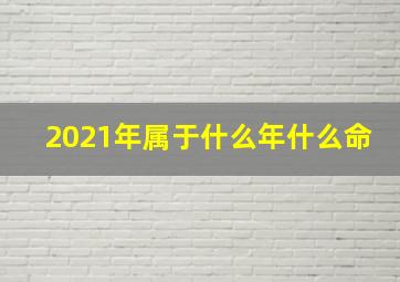 2021年属于什么年什么命