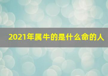 2021年属牛的是什么命的人