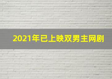 2021年已上映双男主网剧