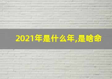 2021年是什么年,是啥命