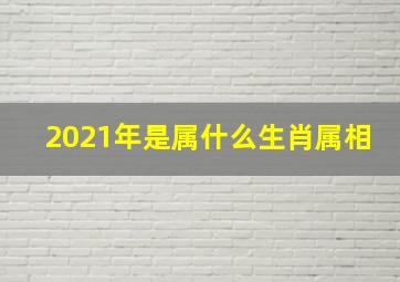 2021年是属什么生肖属相