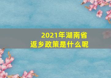 2021年湖南省返乡政策是什么呢