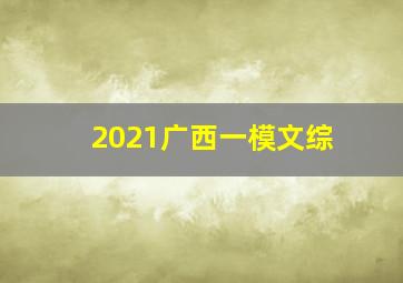 2021广西一模文综