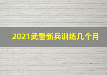 2021武警新兵训练几个月