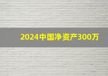 2024中国净资产300万