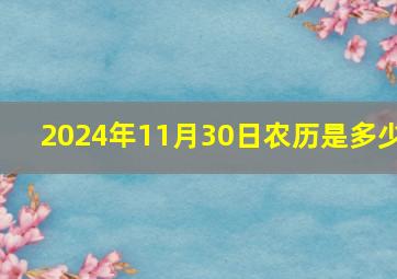 2024年11月30日农历是多少