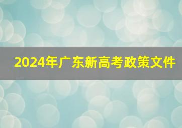 2024年广东新高考政策文件