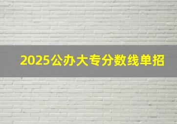 2025公办大专分数线单招