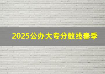 2025公办大专分数线春季