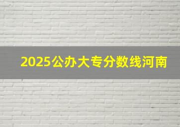 2025公办大专分数线河南