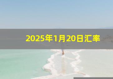 2025年1月20日汇率