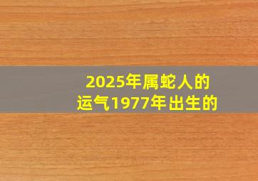 2025年属蛇人的运气1977年出生的