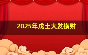 2025年戊土大发横财