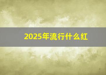 2025年流行什么红