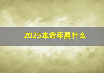 2025本命年属什么