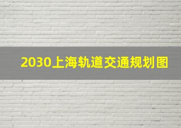 2030上海轨道交通规划图