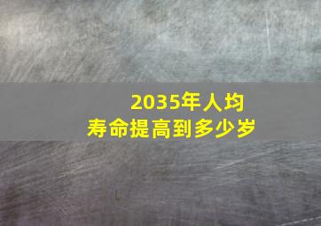 2035年人均寿命提高到多少岁