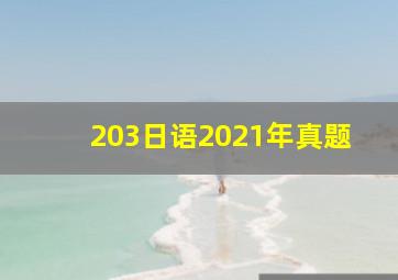 203日语2021年真题