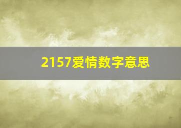 2157爱情数字意思