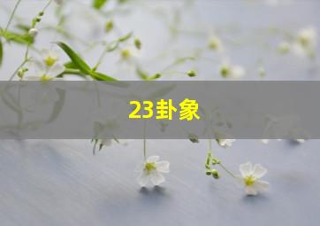 23卦象