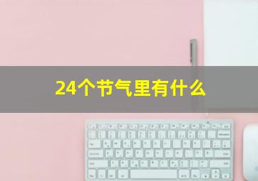 24个节气里有什么