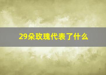 29朵玫瑰代表了什么