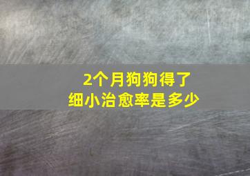 2个月狗狗得了细小治愈率是多少