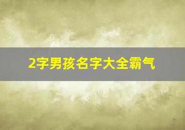 2字男孩名字大全霸气