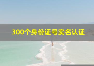 300个身份证号实名认证